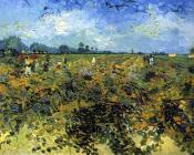 文森特 威廉 梵高 : 绿色的葡萄园